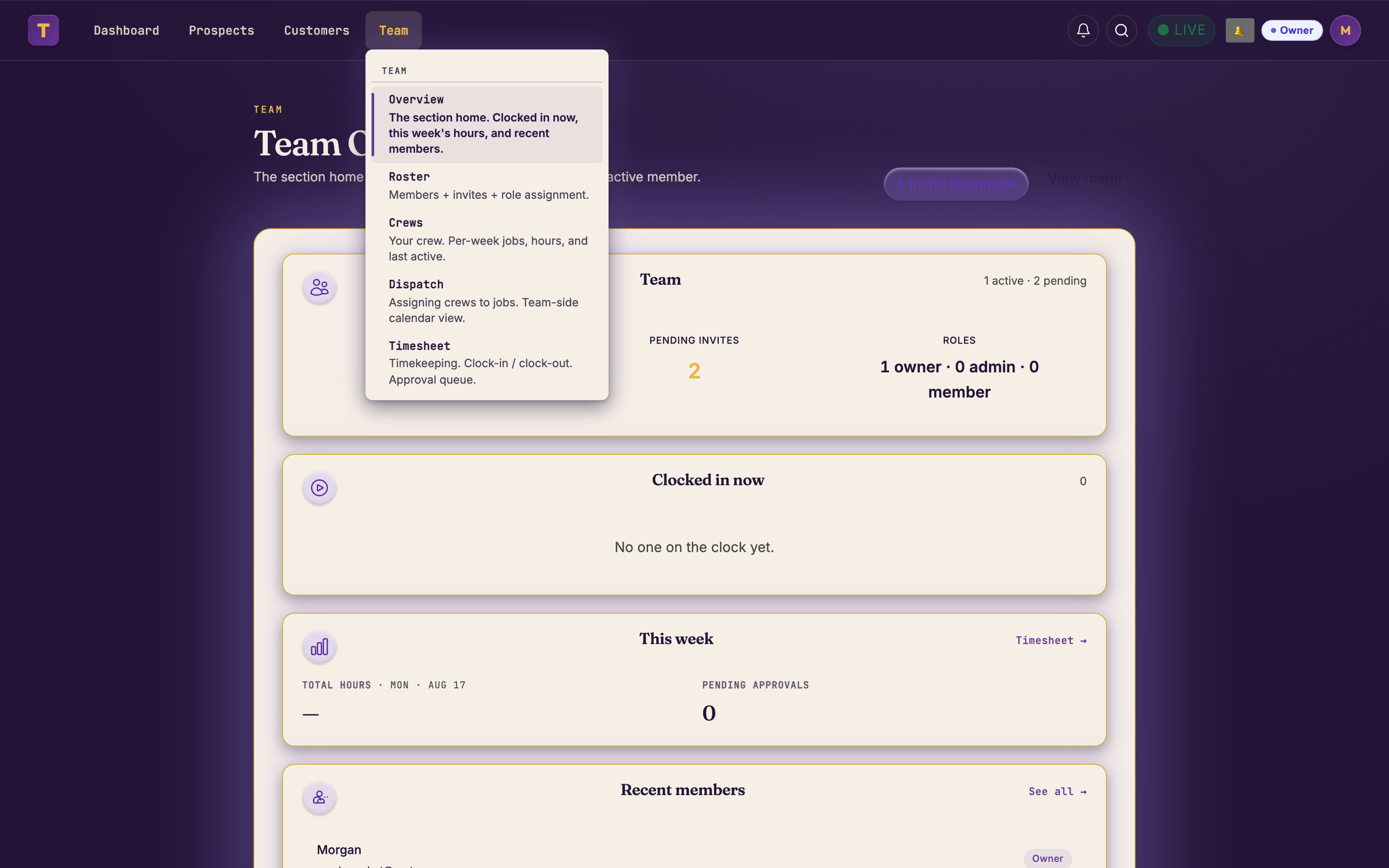 TidySuite Team overview — clocked-in members, this week's hours, recent activity